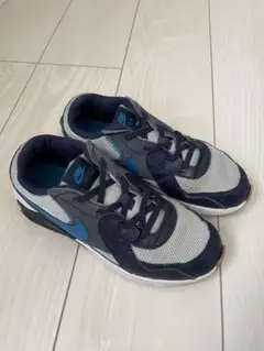 Nike エア マックス CD6893-014 22cm