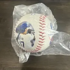 【新品】 大谷翔平 フアン・ソト 記念ボール ドジャース メッツ 球場限定