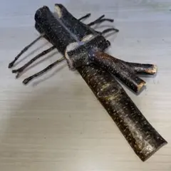 カブトムシ 工作 自由研究 木 置物 夏休み