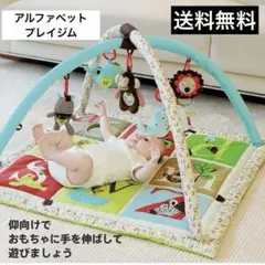 スキップホップ　カラフル ベビージム アルファベット 動物
