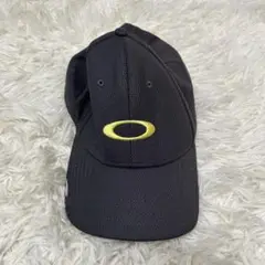 Item thumbnail for item c9d25343-63e5-42db-a7f5-6f5c1acb431c