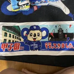 中日ドラゴンズ 応援タオル 甲子園