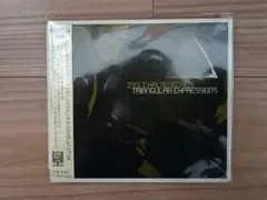 ソルト・カルトネツカー　トリオ　/　トライアングル・エクスプレッションズ　CD
