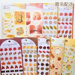 Item thumbnail for item 0ecdeef9-fa16-42f4-8fc5-acb183bee2ef