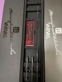 VARIVAS エアロMax299 2セット