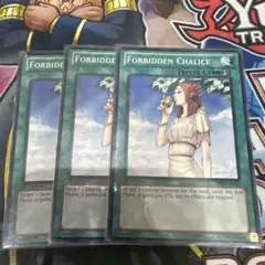 禁じられた聖杯 英語版 エラーカード2重加工 加工ズレ 禁じられた聖杯 英語版 エラーカード2重加工 加工ズレ