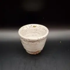 辻村唯　　井戸茶碗　　共箱あり 窯変粉吹茶碗（辻村唯）Kohiki Tea Bowl（Yui Tsujimura