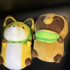 左下！タヌキとキツネ涼しげな昼さがり2種