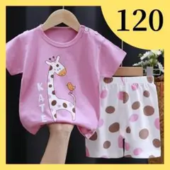 【再入荷】キリン 動物柄 ピンク パジャマ 120 子供用 部屋着 半袖セット