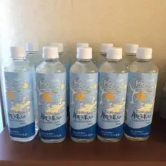豊富温泉濃縮水　肌うれし　サロベツ大地恵泉　10袋　アトピー サロベツ大地恵泉 500ml（12本入り） - （株）I・Cコーポレーション