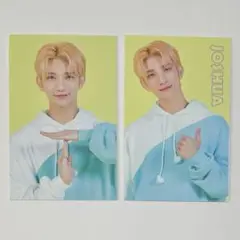 SEVENTEEN CARAT LAND 2020 ジョシュア トレカ