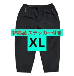 STABRIDGE SHORE WALKER PNATS アパートメント パンツ