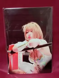 女子プロレス★中野たむ/ブリキ看板 メタルプレート◆スターダム