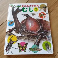むし 英語つき　まどあけずかん