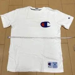 チャンピオン　白　Tシャツ　champion