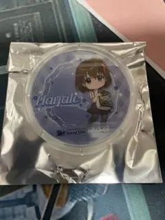 ラウンドワン リリカルなのは アクリルコースター はやて