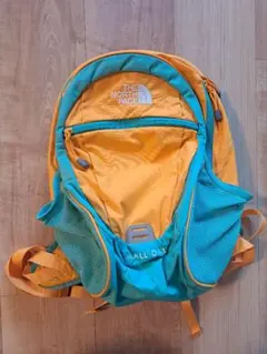 THE NORTH FACE MALL DAY リュック