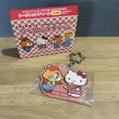 【新品】swimmer × サンリオ　シークレットチャーム　キティ