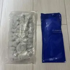 Item thumbnail for item 4f32a431-a64d-4574-bc6d-67573d1be579