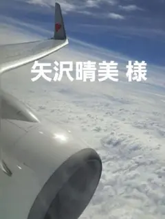 矢沢晴美 様