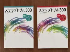 ステップドリル300 小5理系文系 下セット 公立中高一貫校 適性検査
