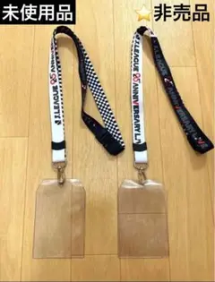 ⭐️非売品⭐️希少【Ｊリーグ】チケットホルダー　25th 25周年