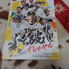 阪神タイガースキャンプガイド2019と大判タオル