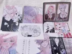 花秘める君のメテオール4巻特典セット