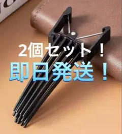 【即日発送】 ヘアボリュームピンチャー 2本セット