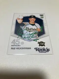 Item thumbnail for item a51dcc48-bf54-442d-a1f1-cad8a925d0fd