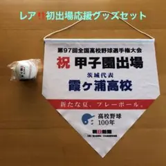 完売品‼️ 第106回　高校野球　茨城大会　Ｔシャツ　霞ヶ浦高校　ブルー　3L 高校野球：昨夏の茨城大会準優勝の霞ヶ浦、5年ぶり3度目の夏