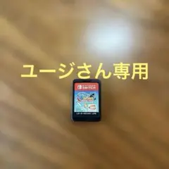釣りスピリッツ　Switchソフト