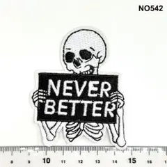 NO542 元気ですって言ってる骸骨が一番病んでる　アイロン刺繍ワッペン　パッチ