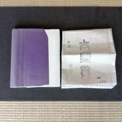 Item thumbnail for item d979b9b1-899f-4317-b426-b9275662902e