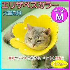エリザベスカラー 猫 黄色 ソフト M キズ舐め防止 かわいい