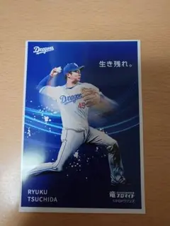 中日ドラゴンズ 竜ブロマイド 土田龍空