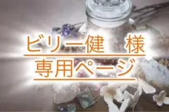 ビリー健さま専用ページ