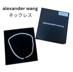 2025年最新】Alexander Wang アクセサリーの人気アイテム - メルカリ