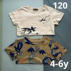 キッズ Tシャツ H&M ドラゴン柄4-6Y 恐竜柄 120 おまとめ