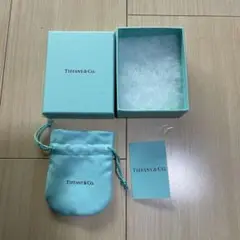 Item thumbnail for item c336bfee-d221-4d26-92a8-011bcf8be20b