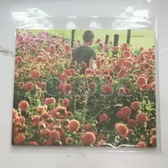 映画　close パンフレット