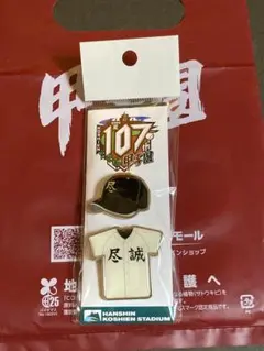 第107回全国高校野球選手権大会　香川県　尽誠学園　ピンバッジセット