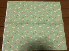 31.柴犬