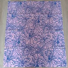 Item thumbnail for item c86b6fee-850d-4147-a6d3-cbfa231b5433