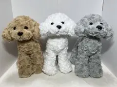 たちぬい　トイプードル　全3種セット　自立　ぬいぐるみ