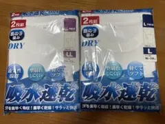 メンズ肌着 半袖 丸首 L〜LLサイズ 2枚セットx2組 吸水速乾鹿の子DRY