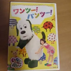 ワンツー！パンツー！ DVD