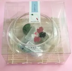 【新品・未開封】夕涼みセット きんぎょのなかま　心斎橋硝子本舗