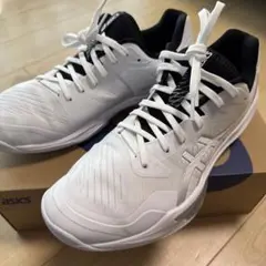 Item thumbnail for item 373335a0-acb1-4c41-b386-478414ad49b0