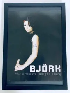 デッドストック！ビョーク Bjork 1995年ドイツでのライブ告知